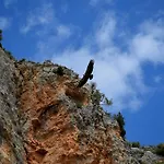 Lago Resort Nuévalos