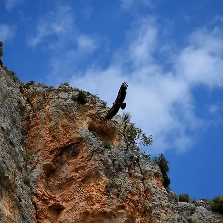 Lago Resort Nuévalos
