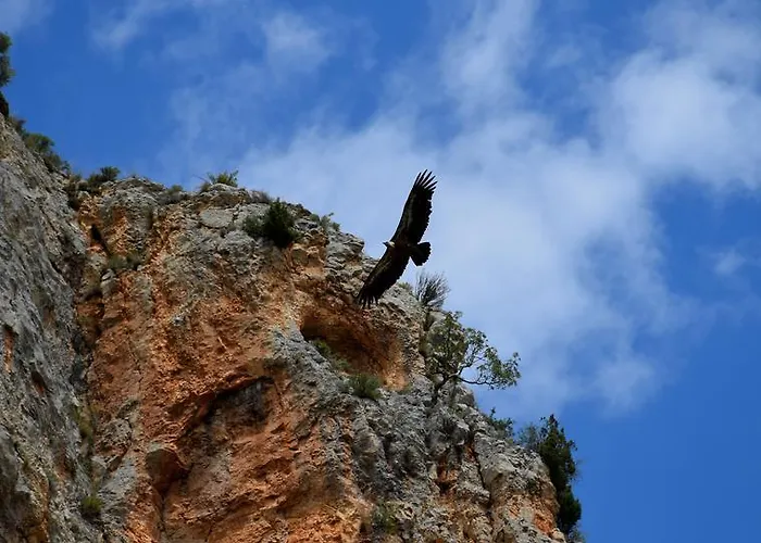 Lago Resort Nuévalos