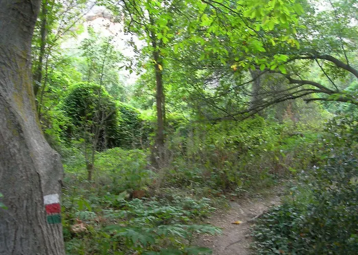 Lago Resort Semesterpark Nuévalos