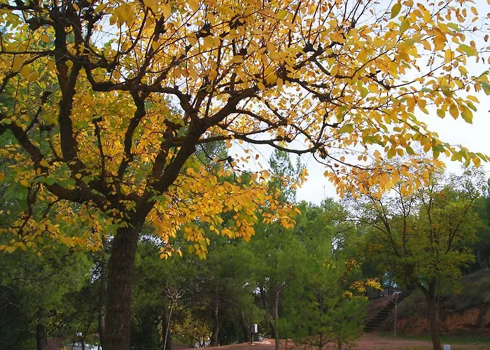 Semesterpark Lago Resort