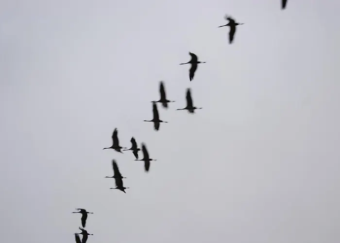 Lago Resort Semesterpark Nuévalos